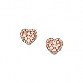 Brincos | FOSSIL JEWELS