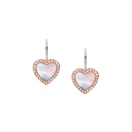 Brincos | FOSSIL JEWELS