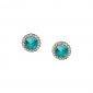 Brincos | FOSSIL JEWELS
